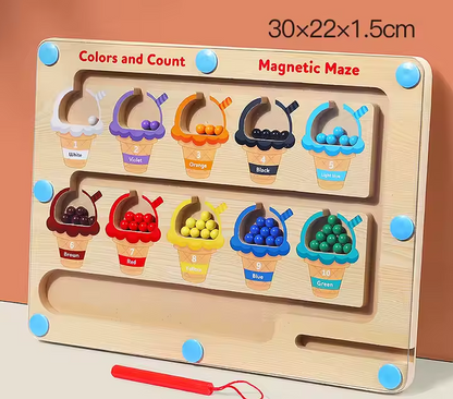 Magnetic Maze Color Sorting Game
