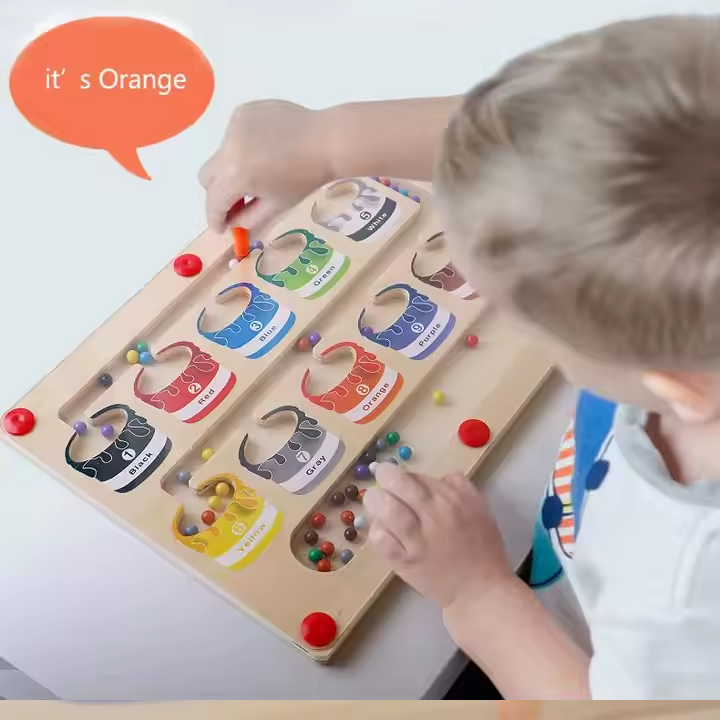 Magnetic Maze Color Sorting Game