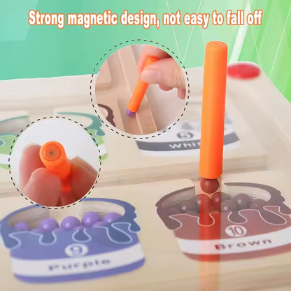 Magnetic Maze Color Sorting Game